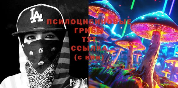 спиды Алексеевка