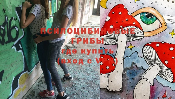apvp Новозыбков