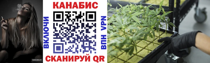 Шишки марихуана THC 21%  купить наркотик  Салехард 